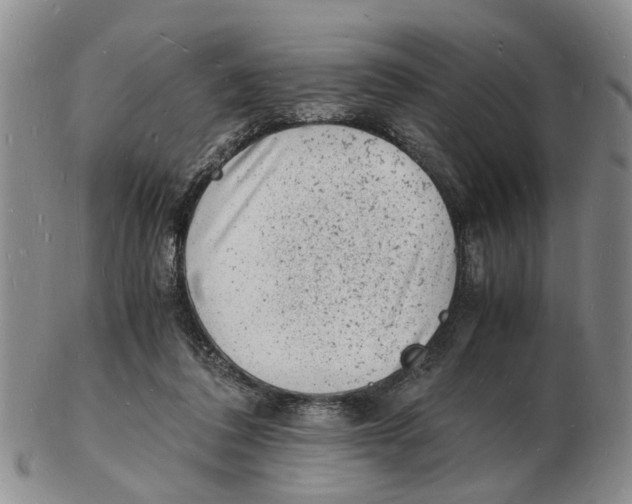 X0000102780308200809151109