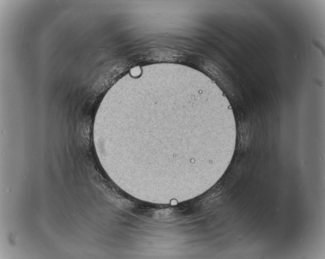 X0000102780309200809151109