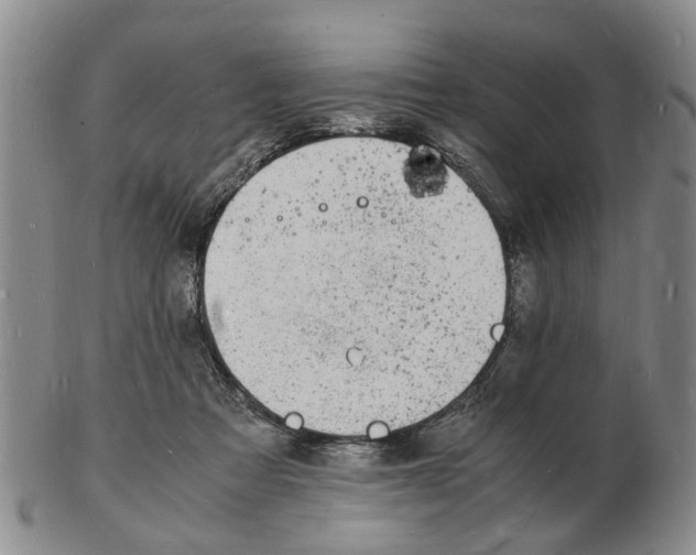 X0000102780313200809151109