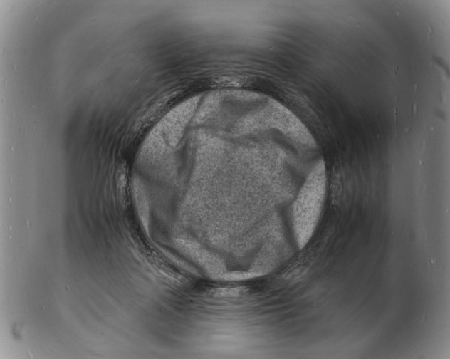 X0000102780314200809151109