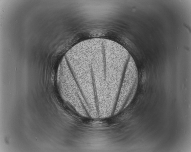 X0000102780315200809151109