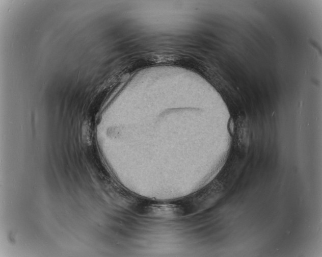 X0000102780316200809151109