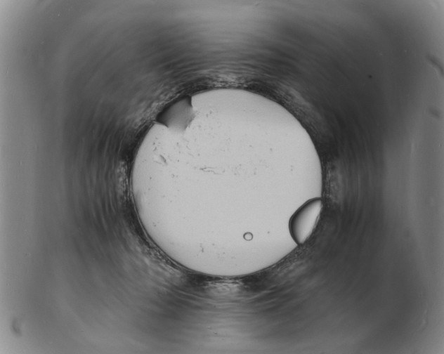 X0000102780318200809151109