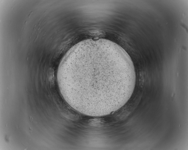 X0000102780320200809151109