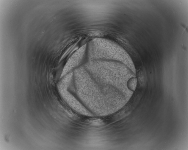 X0000102780322200809151108