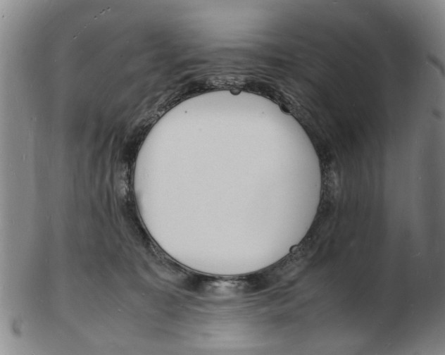 X0000102780323200809151108