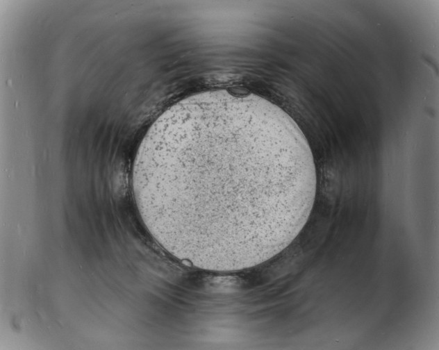 X0000102780324200809151108