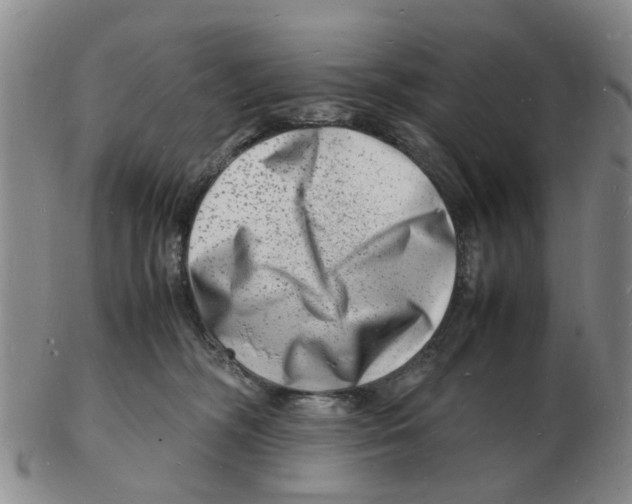 X0000102780326200809151108