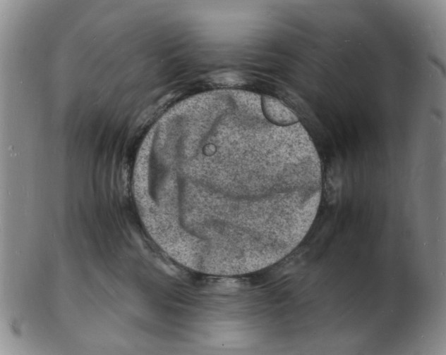 X0000102780330200809151108