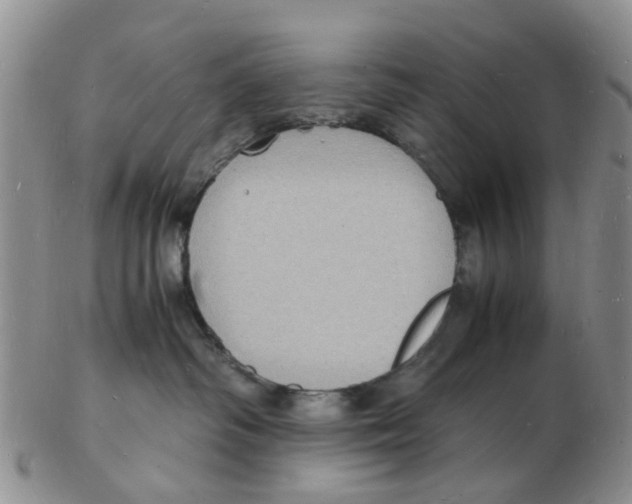 X0000102780334200809151108