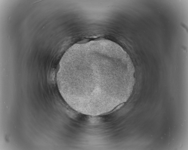 X0000102780336200809151108