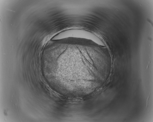 X0000102780337200809151107