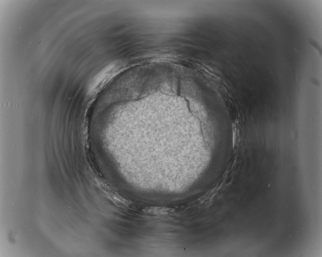 X0000102780339200809151107