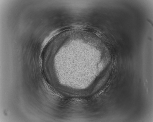 X0000102780343200809151108