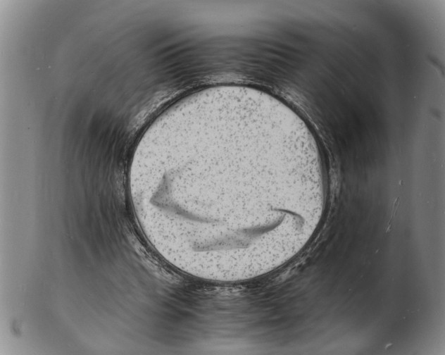 X0000102780345200809151108