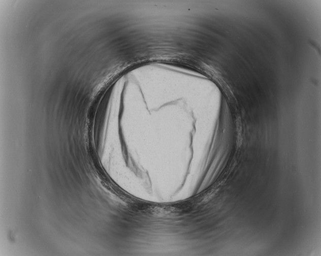 X0000102780346200809151108