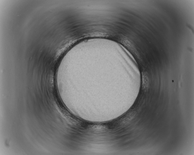 X0000102780348200809151108