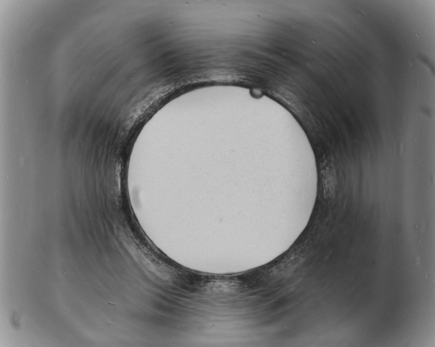 X0000102780350200809151108