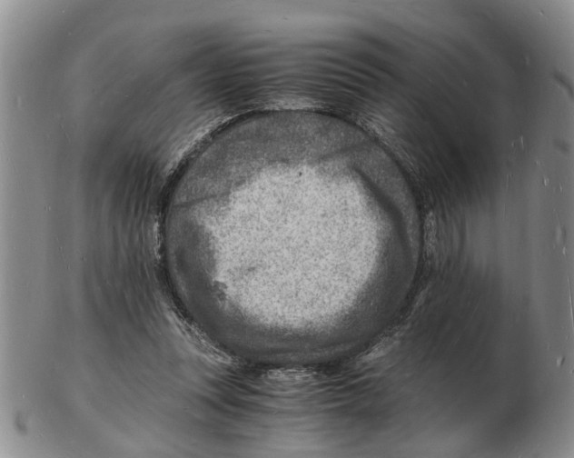 X0000102780351200809151108