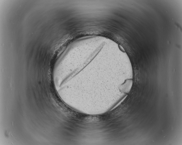 X0000102780354200809151108