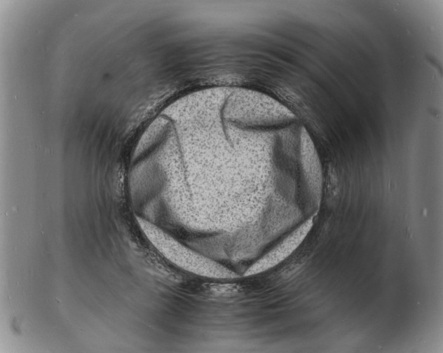 X0000102780355200809151108