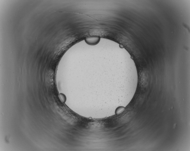 X0000102780356200809151108