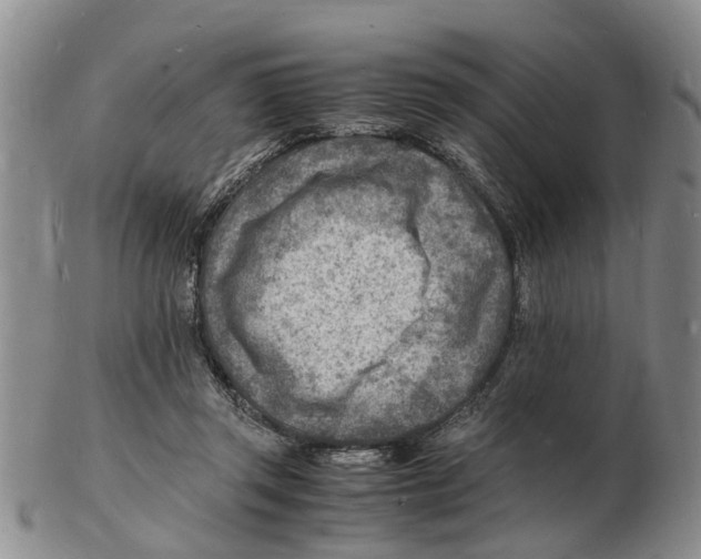 X0000102780357200809151108