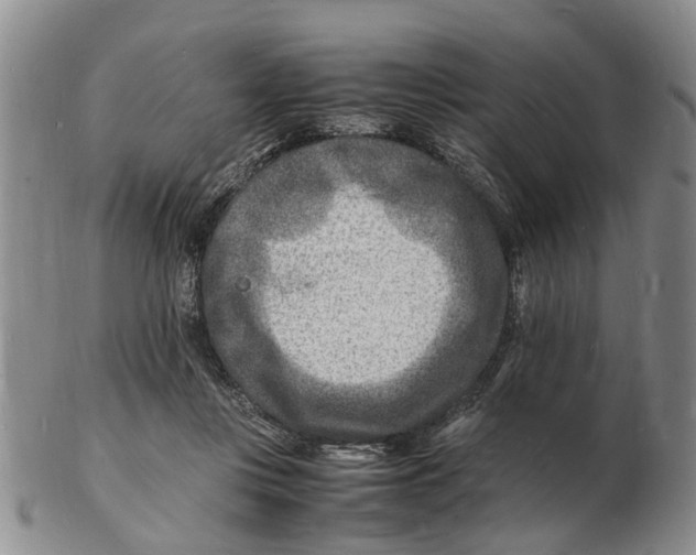 X0000102780359200809151108