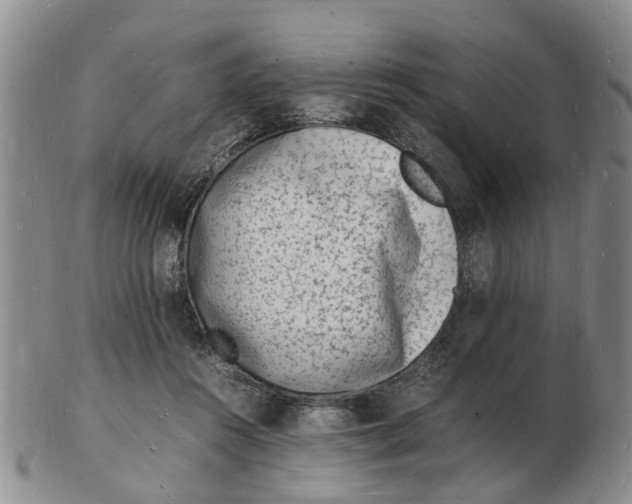 X0000102780360200809151108