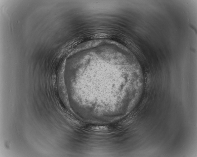 X0000102780361200809151108