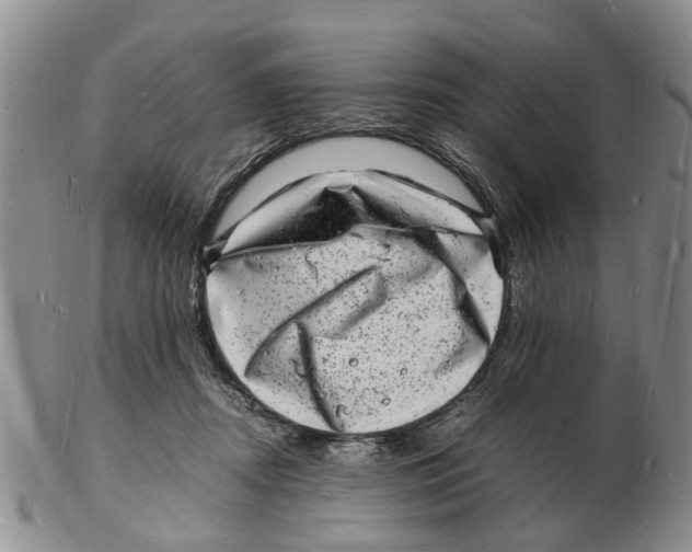 X0000102780362200809151108