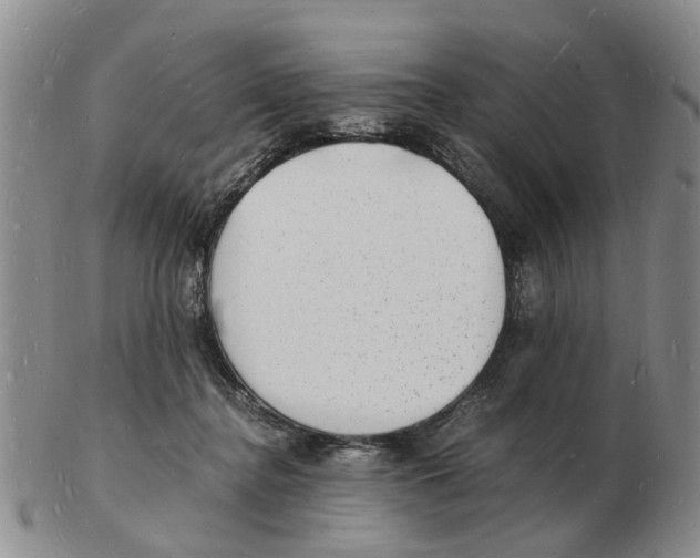 X0000102780364200809151108