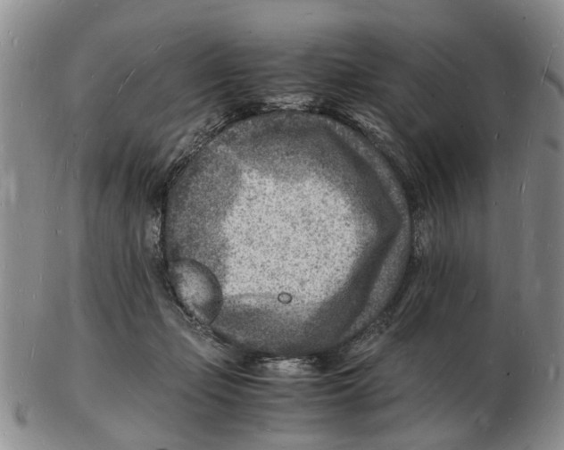 X0000102780365200809151108