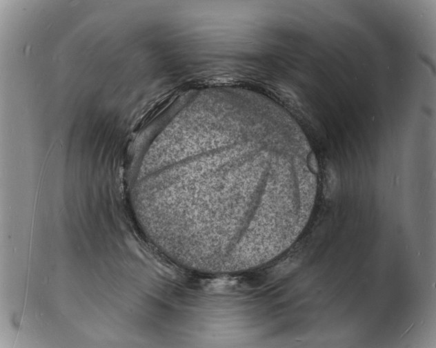 X0000102780366200809151108