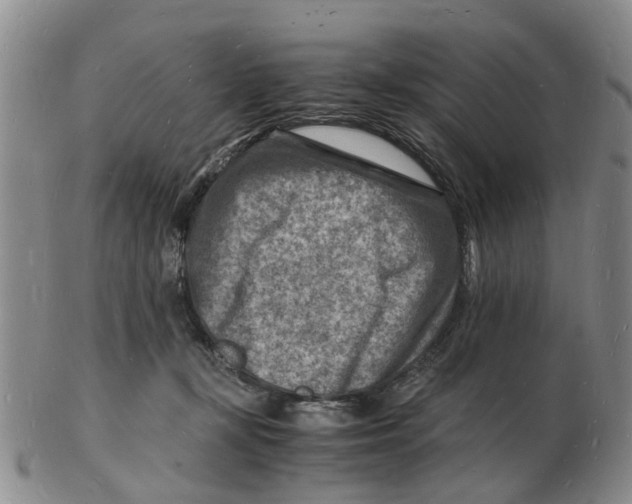 X0000102780367200809151108