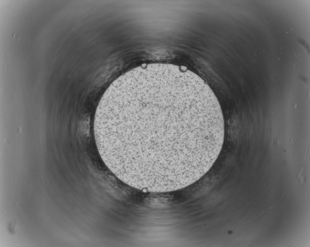 X0000102780368200809151108