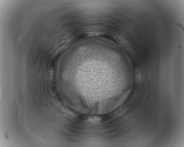 X0000102780369200809151108