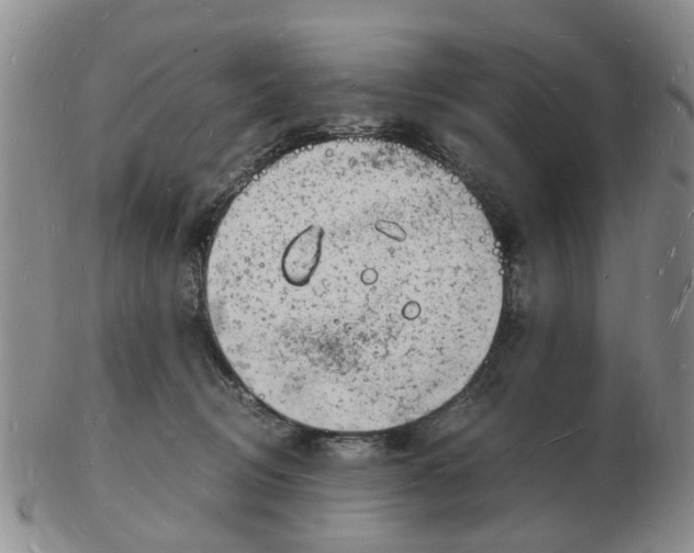 X0000102780370200809151108