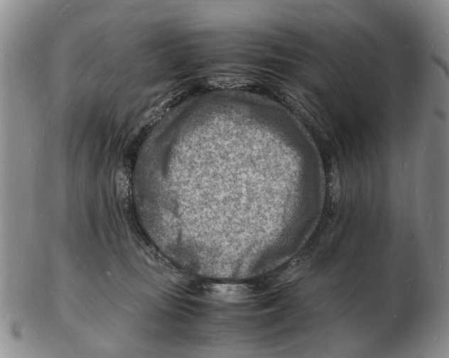 X0000102780371200809151108