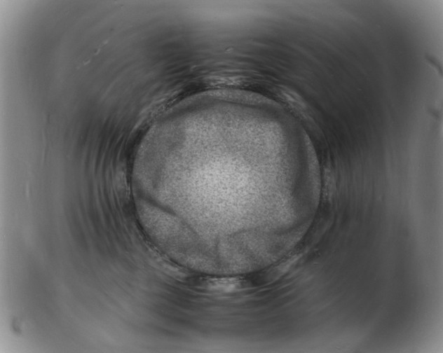 X0000102780377200809151108