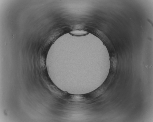 X0000102780380200809151108