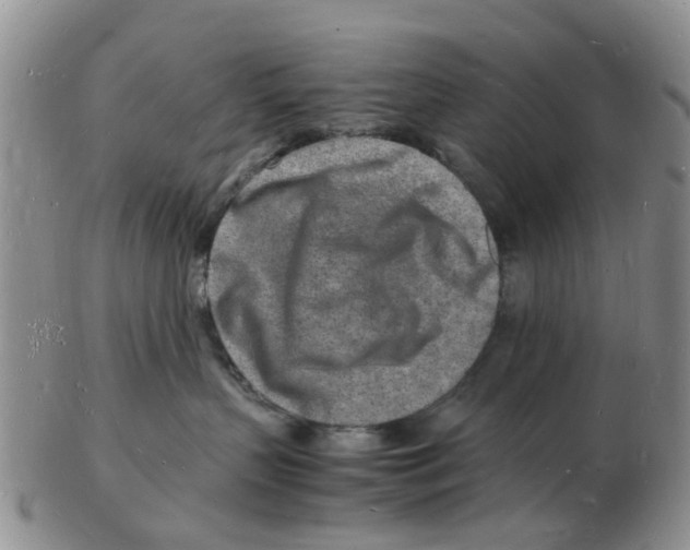 X0000102780383200809151108