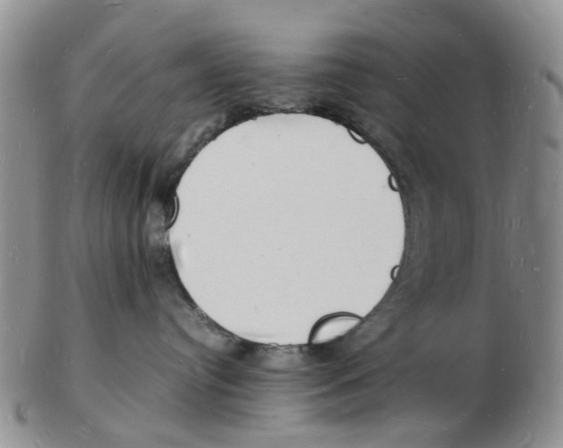 X0000102780384200809151108