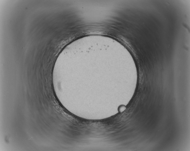 X0000102780385200809151107