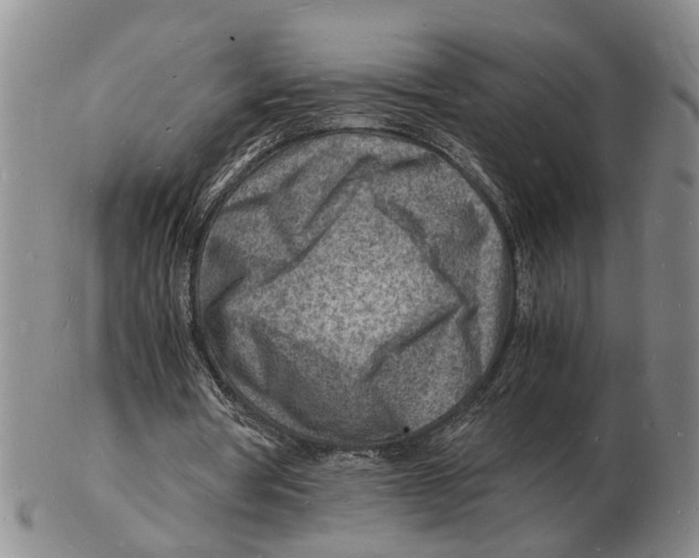 X0000102780386200809151107