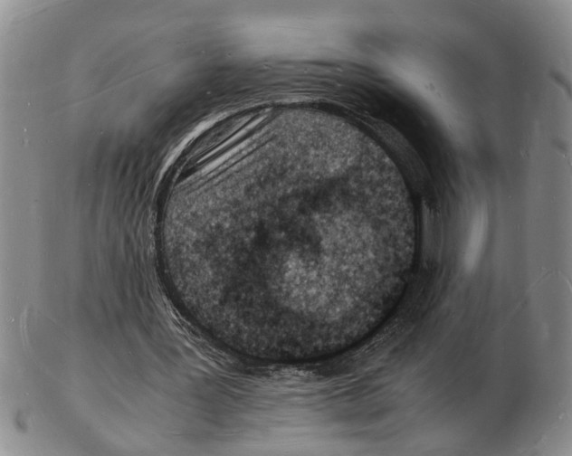 X0000102780387200809151107