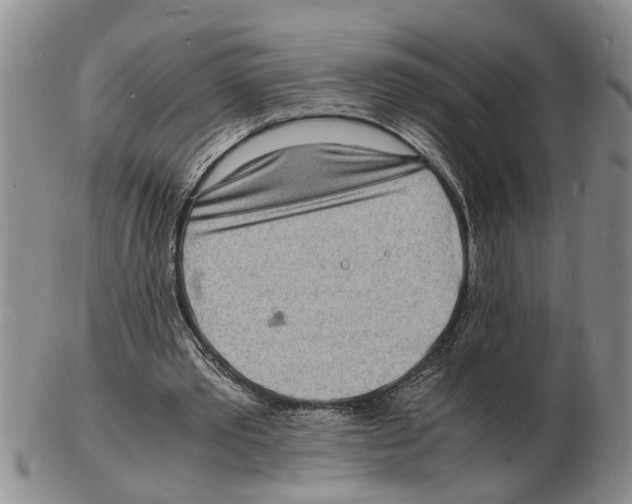 X0000102780389200809151107