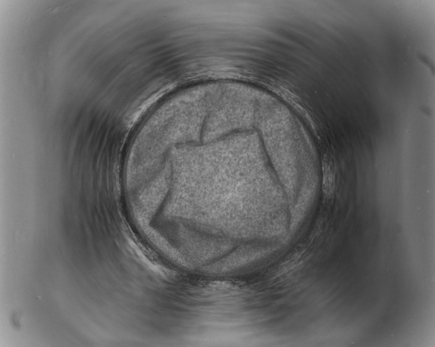 X0000102780390200809151107