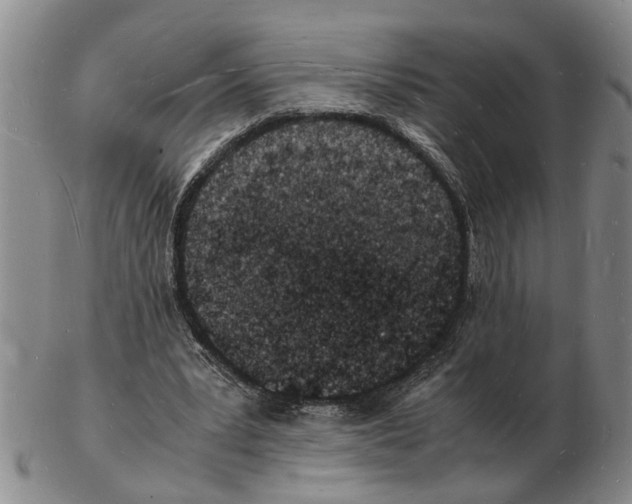 X0000102780391200809151107