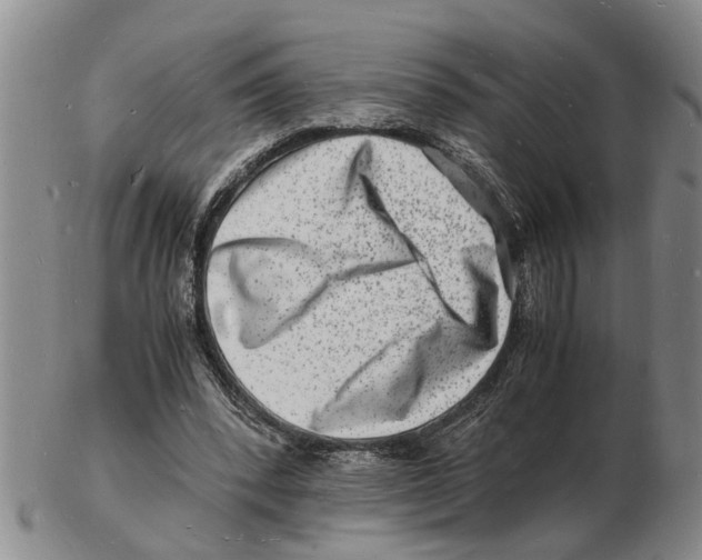 X0000102780392200809151107